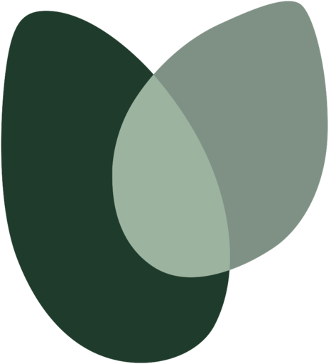 Velluto